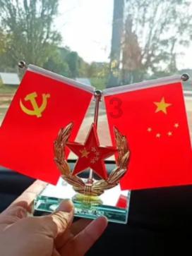 如何在南极数企鹅？科研人员逐步讲解
